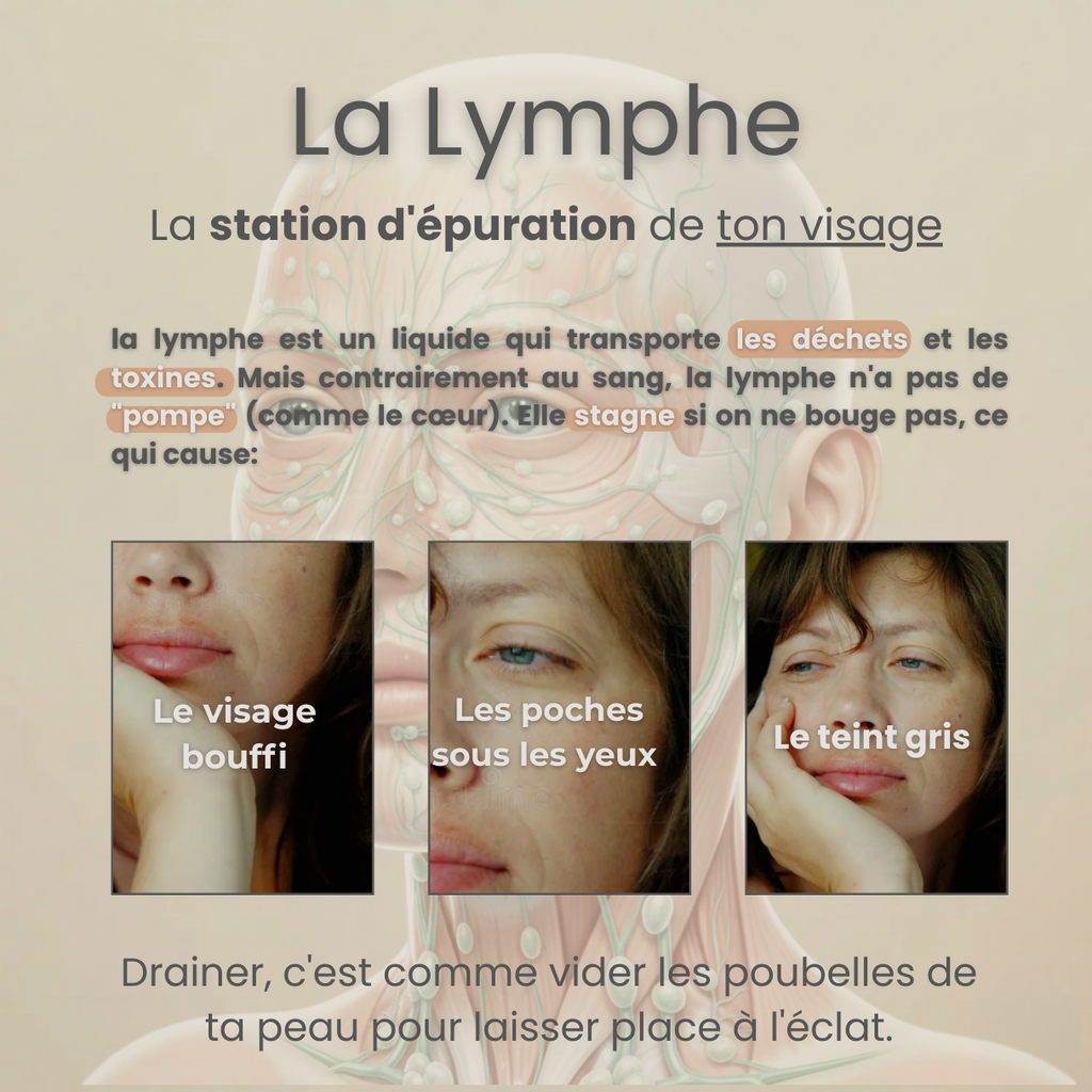 L'Expert Sculpt - Brosse de Drainage Lymphatique pour visage