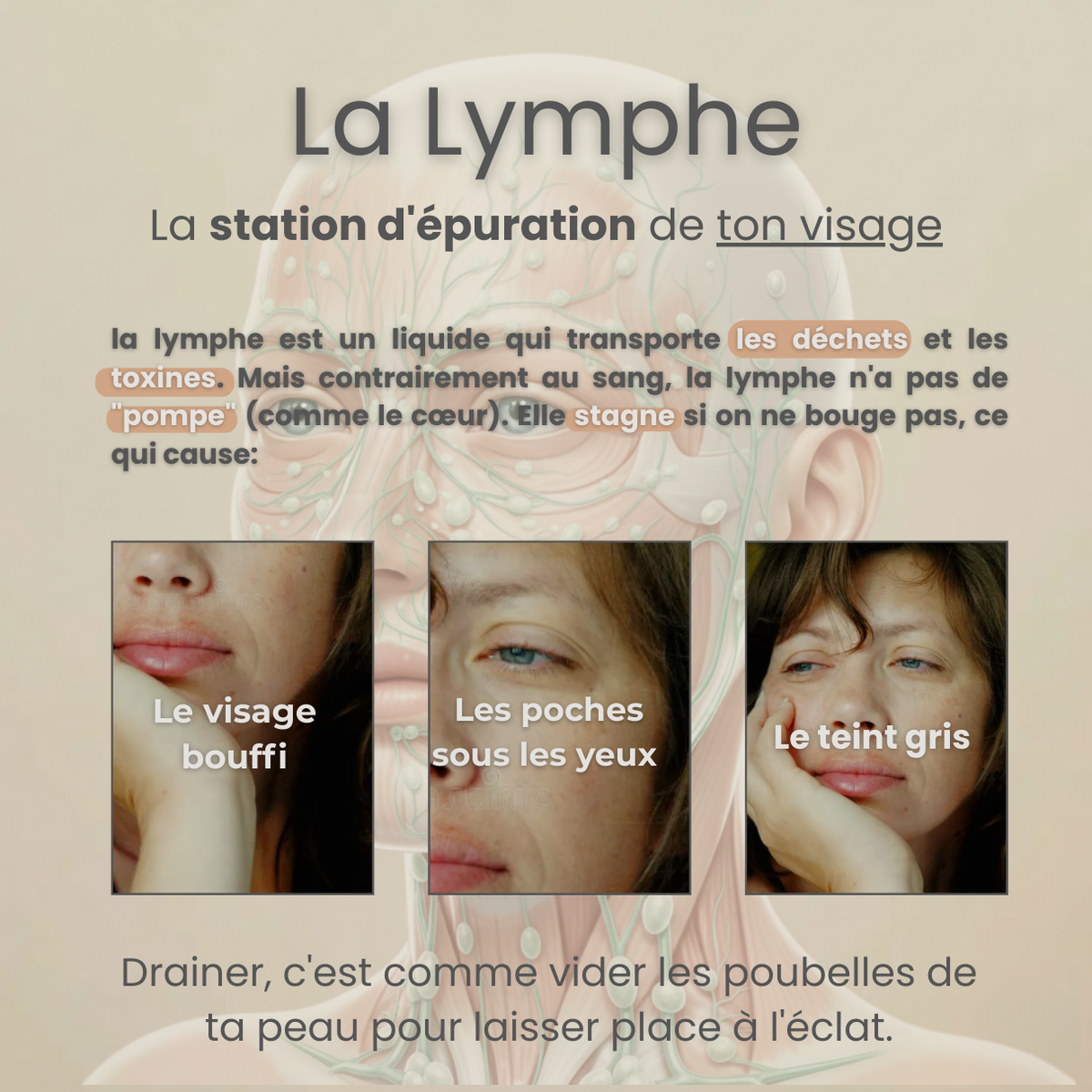 L'Expert Sculpt - Brosse de Drainage Lymphatique pour visage